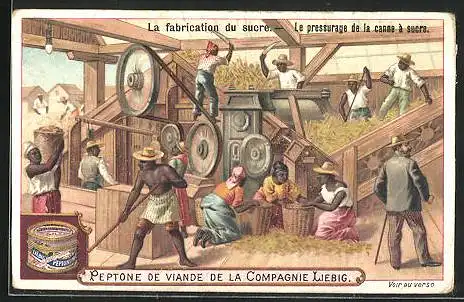 Sammelbild Liebig, La fabrication du sucre, Le pressurage de la canne à sucre