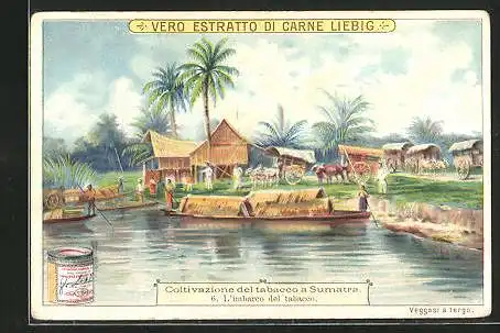 Sammelbild Liebig, Sumatra, Coltivazione del tabacco, L`imbarco del tabacco