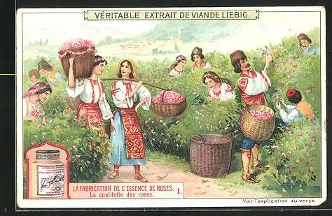 Sammelbild Liebig, La Fabrication de l`Essence de Roses, La cueillette des roses