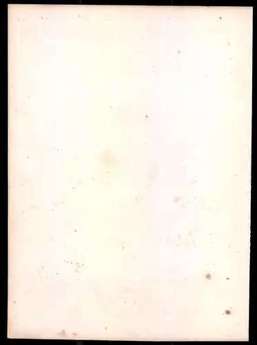 Lithographie Kaisertum Österreich, Stabs Auditor, altkoloriert, montiert, aus Eckert & Monten um 1840 Vorzugsausgabe