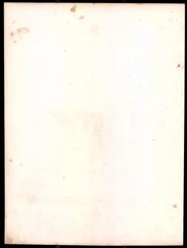 Lithographie Kaisertum Österreich, Staabs-Dragoner, altkoloriert, montiert, aus Eckert & Monten um 1840 Vorzugsausgabe