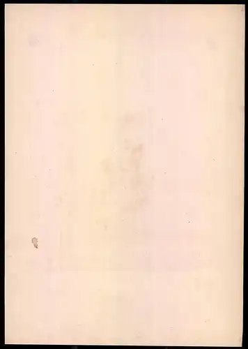 Lithographie Königreich Bayern, Chevauxleger Reg., altkoloriert, montiert, aus Eckert & Monten um 1840 Vorzugsausgabe