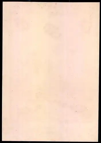 Lithographie Electorat Hesse, Bat. de Chasseurs, altkoloriert, montiert, aus Eckert & Monten um 1840 Vorzugsausgabe
