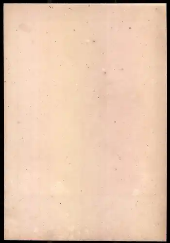 Lithographie Duché Holstein, Auditeur-Medecin, altkoloriert, montiert, aus Eckert & Monten um 1840 Vorzugsausgabe