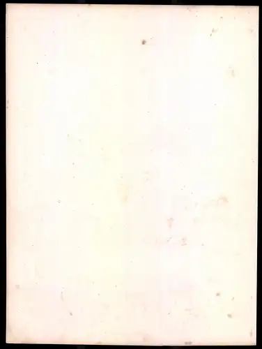 Lithographie Kaisertum Österreich, Grenz-Cordon, altkoloriert, montiert, aus Eckert & Monten um 1840 Vorzugsausgabe