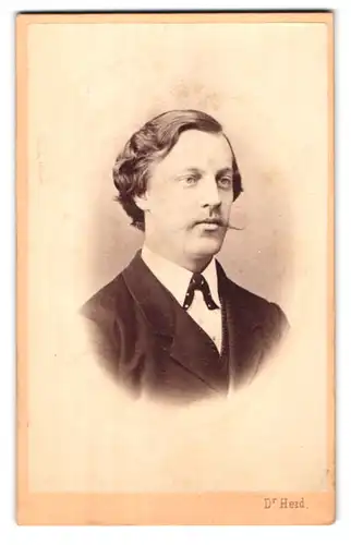 Fotografie Dr. Heid, Wien, Landstrasse, Gärtnergasse 23, Portrait charmanter Herr im Anzug mit Fliege