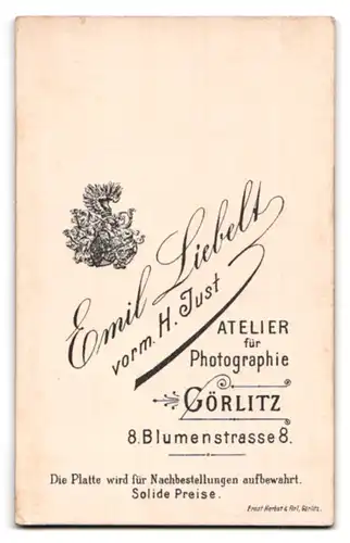 Fotografie Emil Liebelt, Görlitz, Blumenstr. 8, Portrait Postbeamter in Uniform mit Schnauzer