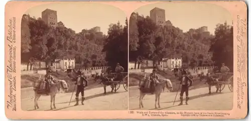 Stereo-Fotografie Underwood & Underwood, New York, Ansicht Granada, Bauer mit Esel vor der Alhambra