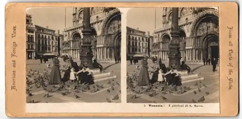 Stereo-Fotografie unbekannter Fotograf, Ansicht Venedig-Venezia, I piccioni di S. Marco