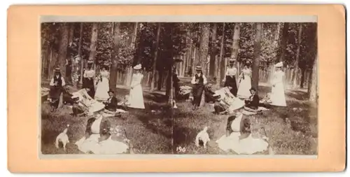 Stereo-Fotografie Herren und Damen beim gemeinsamen Picknick im Wald