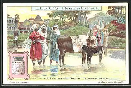 Sammelbild Liebig, Liebig`s Fleisch-Extract, Benares, Hochzeitsbräuche, Brautpaar mit Rindern
