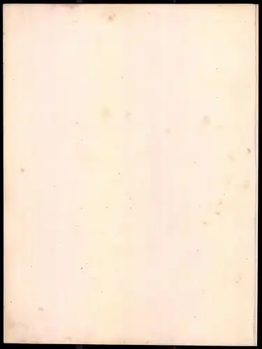 Lithographie Schema der k. k. österr. Linien-Infanterie-Regiment, Altkolorierte Lithographie Eckert & Monten um 1840