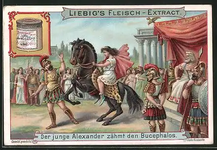 Sammelbild Liebig, Der junge Alexander zähmt den Bucephalos