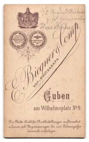 Fotografie E. Biegner & Comp., Guben, Am Wilhelmsplatz 9, Portrait junger Herr im Anzug mit Fliege