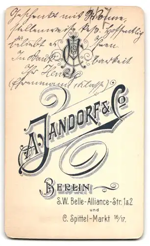 Fotografie A. Jandorf & Co., Berlin-SW, Belle-Alliance-Strasse 1 & 2, Portrait junger Mann in modischer Kleidung