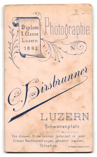 Fotografie C. Hirsbrunner, Luzern, Schwanenplatz, Portrait junge Dame mit hochgestecktem Haar
