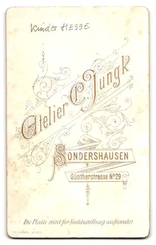 Fotografie C. Jungk, Sondershausen, Güntherstrasse 29, Geschwisterchen in Kleidchen