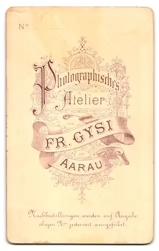 Fotografie Fr. Gysi, Aarau, proppere Dame in Kragenkleid