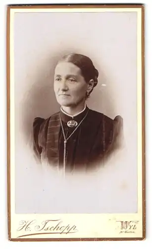 Fotografie H. Tschopp, Wyl, Portrait Edeldame mit Schmuck - Brosche & Halskette