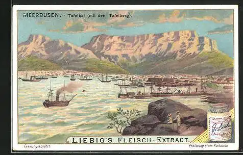 Sammelbild Liebig, Liebig`s Fleisch-Extract, Meerbusen, Tafelbai mit dem Tafelberg