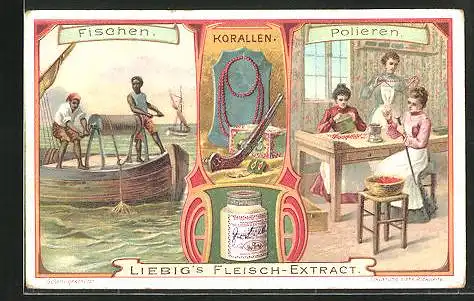 Sammelbild Liebig, Korallen, Fischen, Polieren