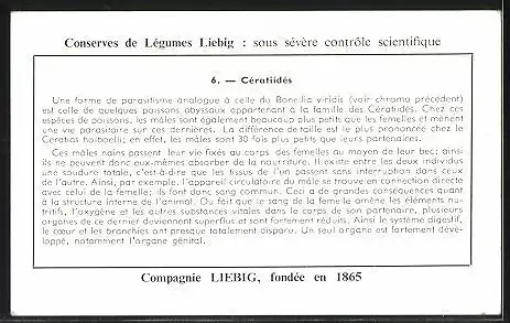 Sammelbild Liebig, Phenomenes de Regression chez les Parasites, Cératiidés