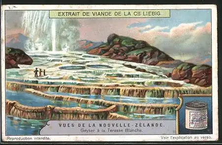 Sammelbild Liebig, Vues de la Nouvelle-Zélande, Geyser à la Terasse Blanche