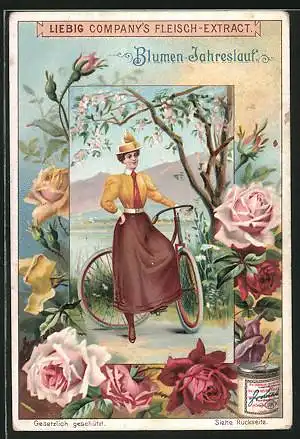 Sammelbild Liebig, Blumen-Jahreslauf, Frau mit Fahrrad