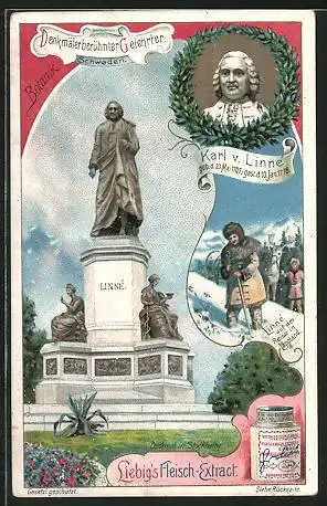 Sammelbild Liebig, Denkmäler berühmter Gelehrter, Karl v. Linné