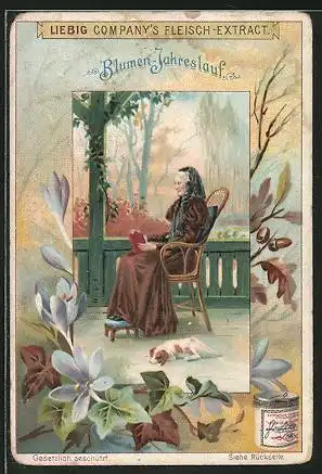 Sammelbild Liebig, Liebig Company`s Fleisch-Extract, Blumen-Jahreslauf, Ältere Frau mit einem Buch
