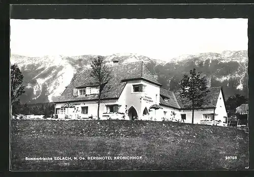 AK Edlach, Hotel Kronichhof vor Bergkulisse