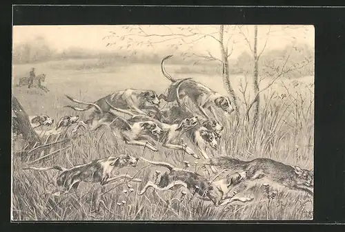 Künstler-AK Jagdhundmeute jagen Fuchs