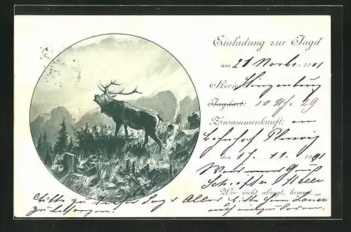 AK Jagdeinladung, Hirsch im Wald