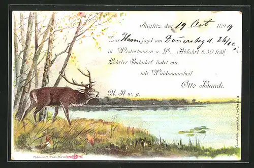 Lithographie Jagdeinladung mit röhrendem Hirsch am See