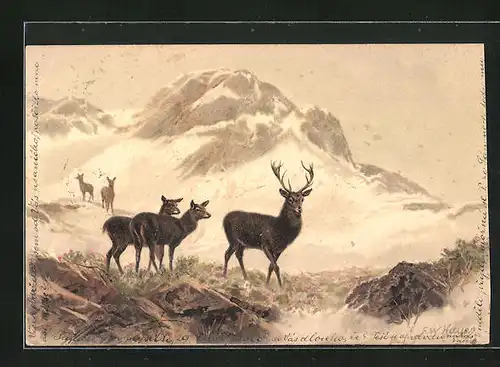 Lithographie Hirsche im Bergesland