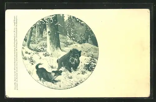 Künstler-AK Wildschwein trifft im Hund im Wald
