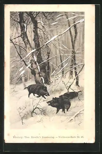 Künstler-AK Wildschweine im verschneiten Wald, Waidmanns-Karte Nr. 17