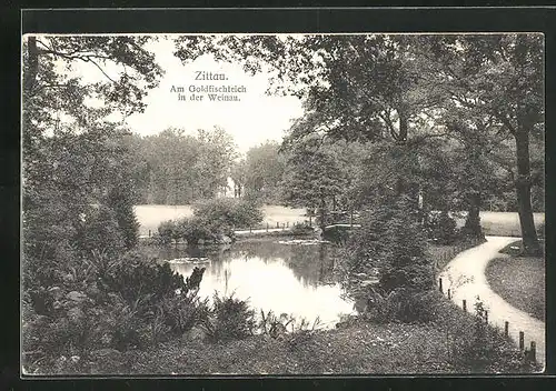 AK Zittau, Partie am Goldfischteich in der Weinau