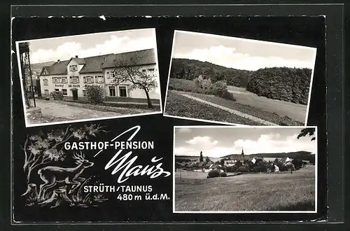 AK Strüth /Taunus, Ortsansicht und Gasthof-Pension Maus