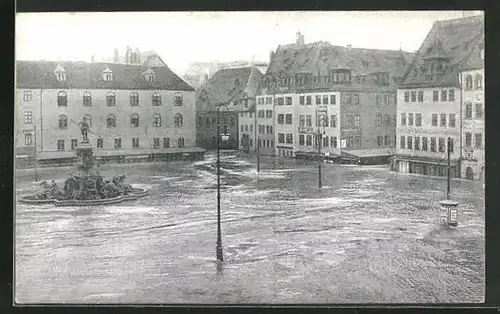 AK Nürnberg, Hochwasser-Katastrophe am 5. Februar 1909 - Der Hauptmarkt