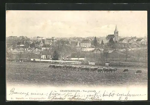 AK Champignelles, Vue gènèrale