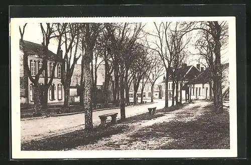 AK Champignelles, Avenue Pierre-Bertrand