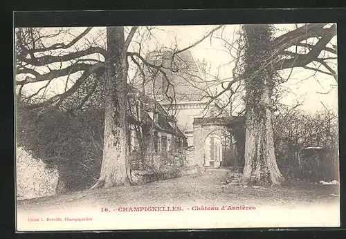 AK Champignelles, Chateau d`Asnieres