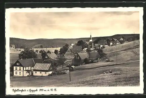 AK Schellerhau im Erzgeb., Blick über den kleinen Ort im tal