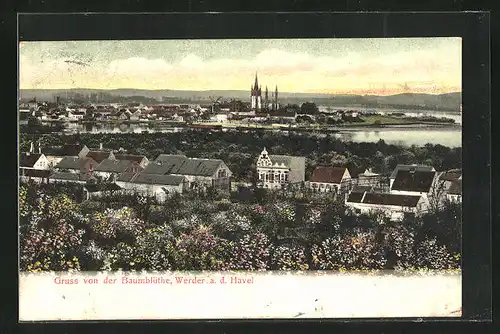 AK Werder a.d. Havel, Blick über die gesamte Stadt zur Baumblüte