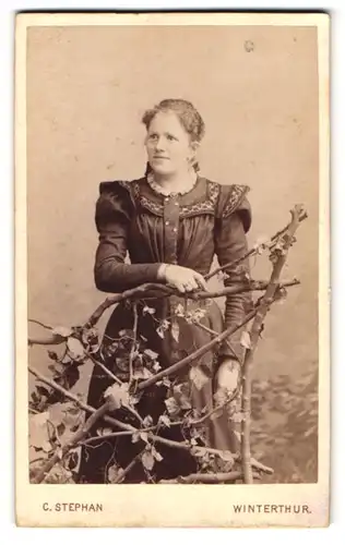 Fotografie C. Stephan, Winterthur, Ecke Wart u. Rudolfstrasse, Portrait junge Dame im hübschen Kleid