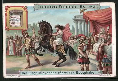 Sammelbild Liebig, Der junge Alexander zähmt den Bucephalos