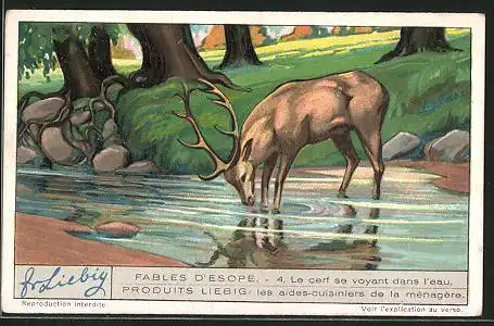 Sammelbild Liebig, Fables D`Esope, 4. Le cerf se voyant dans l`eau, Hirsch