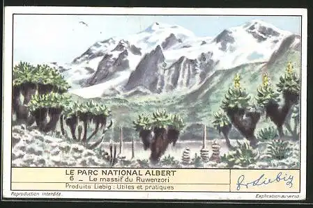 Sammelbild Liebig, Le Parc National Albert, Le massif du Ruwenzori