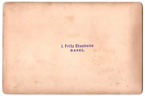 Fotografie J. Fritz Staehelin, Basel, Ansicht Basel, Hochzeitsgesellschaft mit Braut vor einem Hotel